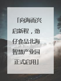 向海而兴启新程，劲仔食品北海智慧产业园正式启用